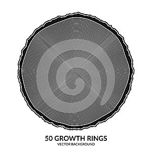 50 growth rings. Tree rings and saw cut tree trunk