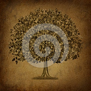 Growth tree symbol with grunge texture