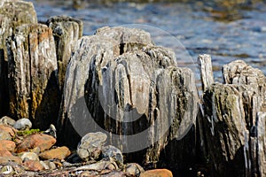 Groyne