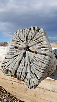 Groyne