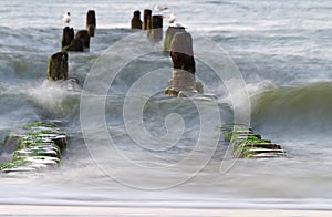 Groyne at the baltic sea