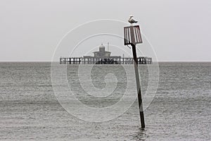 Groyne Marker and Herne Bay Pier