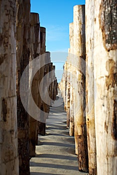 Groynes at the beach