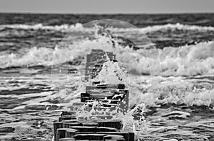 groynes on the beach of the Baltic Sea in Zingst. Waves break on the wood