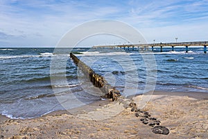 Groynes and pier on shore of the Baltic Sea in Graal Mueritz, Germany