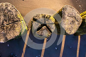 Groynes in the sand on the beach of the Baltic Sea at sunset. The sun\'s rays shine