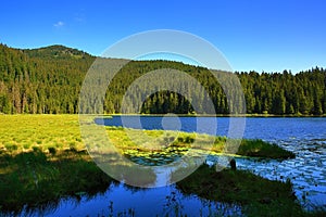 GroÃÅ¸er Arbersee is a lake in Bayerischer Wald, Bavaria, Germany photo