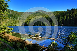 GroÃŸer Arbersee is a lake in Bayerischer Wald, Bavaria, Germany