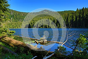 GroÃŸer Arbersee is a lake in Bayerischer Wald, Bavaria, Germany