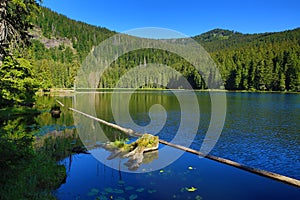 GroÃŸer Arbersee is a lake in Bayerischer Wald, Bavaria, Germany