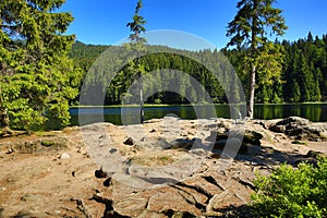 GroÃŸer Arbersee is a lake in Bayerischer Wald, Bavaria, Germany