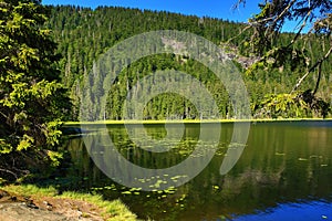 GroÃŸer Arbersee is a lake in Bayerischer Wald, Bavaria, Germany