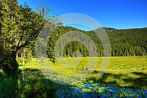 GroÃŸer Arbersee is a lake in Bayerischer Wald, Bavaria, Germany