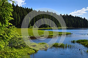 GroÃŸer Arbersee is a lake in Bayerischer Wald, Bavaria, Germany