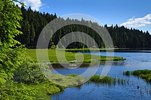 GroÃŸer Arbersee is a lake in Bayerischer Wald, Bavaria, Germany