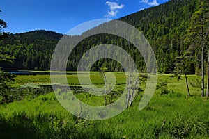 GroÃŸer Arbersee is a lake in Bayerischer Wald, Bavaria, Germany