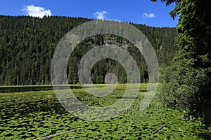 GroÃŸer Arbersee is a lake in Bayerischer Wald, Bavaria, Germany