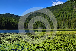 GroÃŸer Arbersee is a lake in Bayerischer Wald, Bavaria, Germany