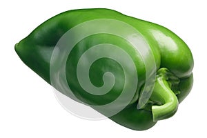 Grueso de Plaza green bell pepper photo