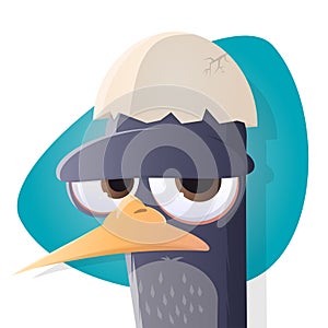 Grumpy bird with egg hat