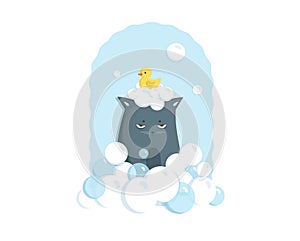 Grumpy cat bathing with soap bubbles