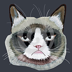 Grumpy cat head