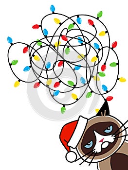 Grumpy cat tangled christmas lights. Greeting card