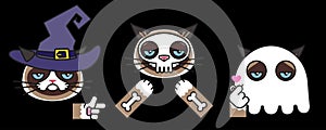 Grumpy cats in halloween skeleton, witch ghost