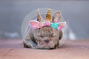 Grumpy French Bulldog dog with angry facial expression dressed up as unicorn wearing headband with  flowers and horn