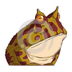 A Grumpy Frog, isolated vector illustration. Cartoon picture of a calm serious toad sitting. Drawn animal sticker. photo