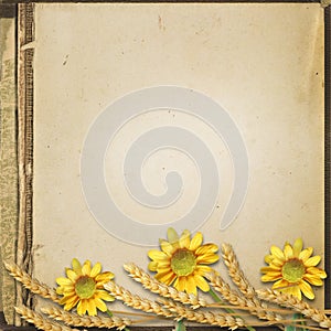 Grunge autumn background with sunflower and spikelets