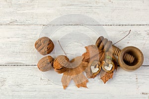 Grunge autumn still life with walnuts