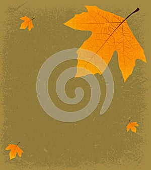 Grunge Autumnal Background