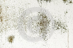 Grunge background brown texture wall rustic rust old organic mildew