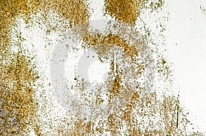 Grunge background brown texture wall rustic rust old organic mildew