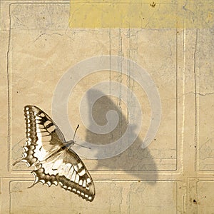 Grunge background and butterfly