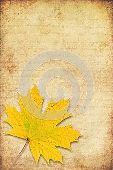 Grunge background with maple autumn leave