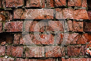 Grunge background Old brick wall weathered and falling apart. The cement interlayers between the bricks were covered