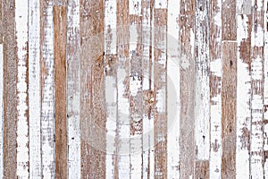 Grunge background. Peeling white paint on an old wooden background. Old Rustic Wood background. Vintage retro background