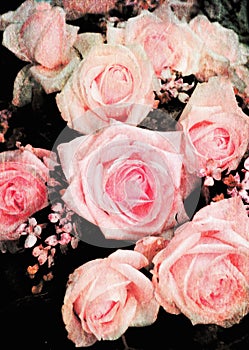 Grunge background with pink roses
