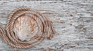 Grunge background with seashell and rope