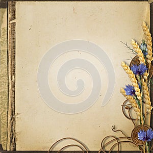 Grunge background with wildflowers and spikelets