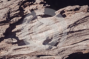 Grunge brown wood texture shade and light photo abstract background