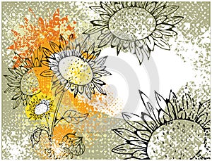 Grunge card with sunflowers