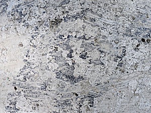 Grunge cement wall texture. Abstract background and texture for design