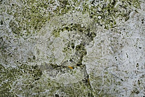 Grunge concrete cement wall with crack, for design and texture background