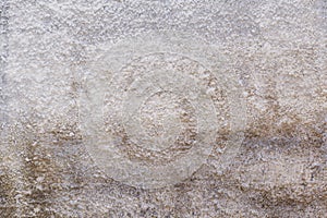 grunge concrete wall texture moss stucco
