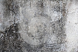 grunge concrete wall texture moss stucco
