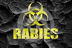 Grunge cracked Rabies virus concept background photo