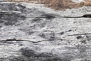 Grunge cracked wood by close up texture background horizontal